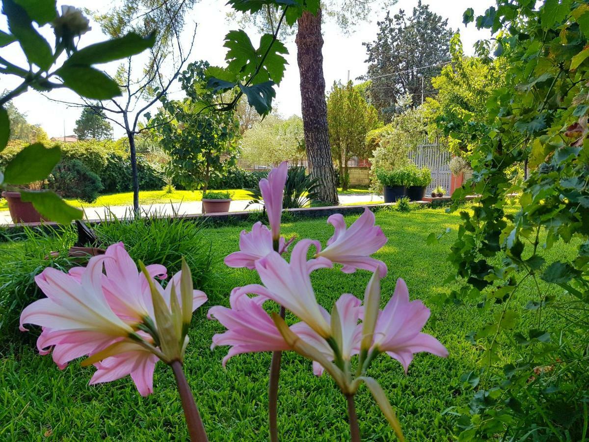 Welcome Bed & Breakfast Pedara